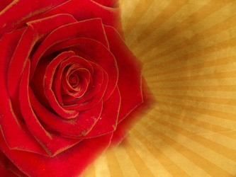 Similar image 1140105