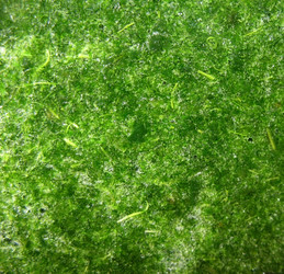 Similar image 1140148