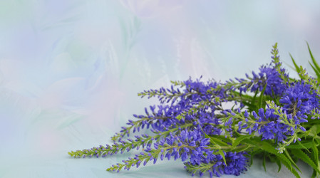 Similar image 1140157