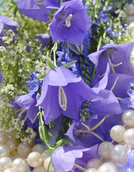 Similar image 1140158