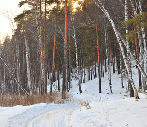 Similar image 1140163