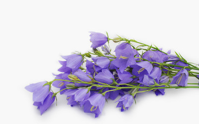 Similar image 1140207