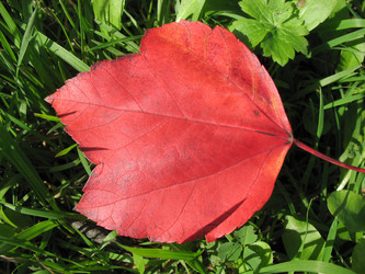 Similar image 1140210