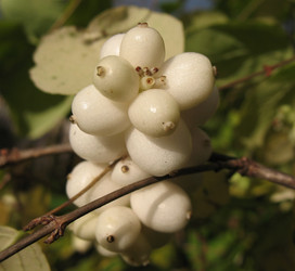 Similar image 1140227