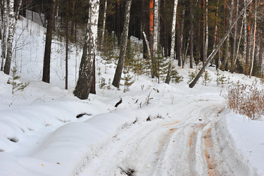 Similar image 1140244