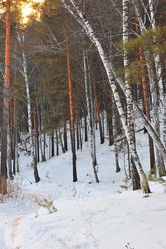 Similar image 1140245