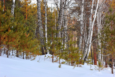 Similar image 1140247