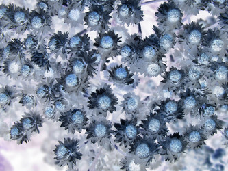 Similar image 1140262