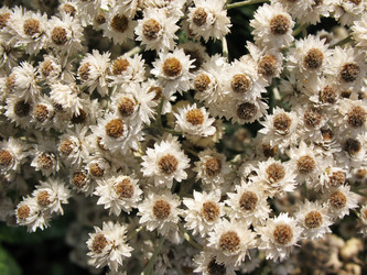 Similar image 1140271