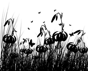 Similar image 1140303