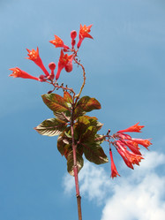 Similar image 1140326