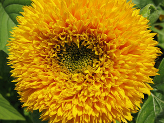 Similar image 1140328