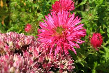 Similar image 1140330