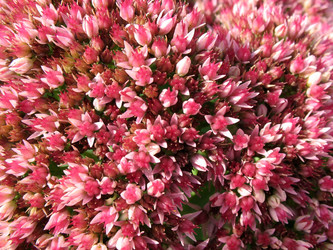 Similar image 1140332