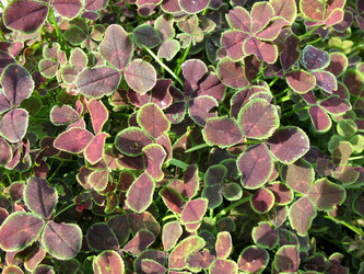 Similar image 1140337