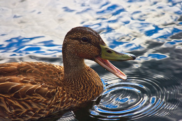 Similar image 1140357