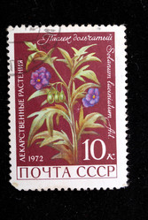 Similar image 1140363