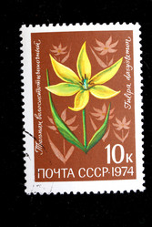 Similar image 1140364