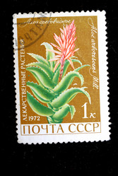 Similar image 1140365