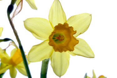 Similar image 1140369