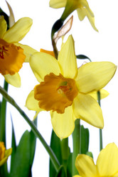 Similar image 1140370