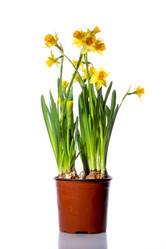 Similar image 1140371