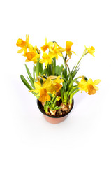 Similar image 1140372