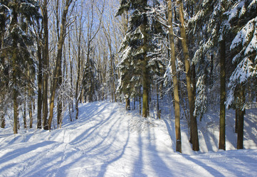 Similar image 1140457