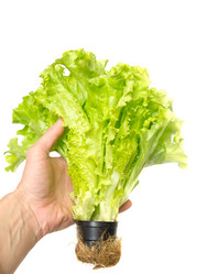 Similar image 1140544