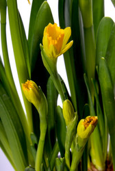 Similar image 1140556