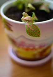 Similar image 1140560