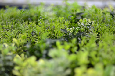 Similar image 1140561