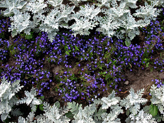 Similar image 1140603