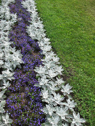 Similar image 1140604