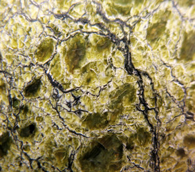 Similar image 1140606