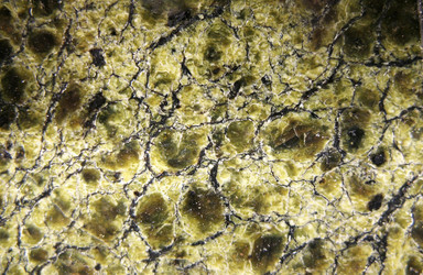 Similar image 1140608