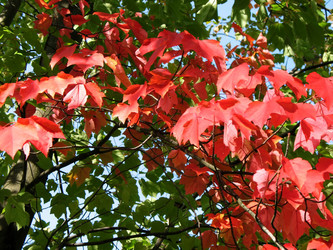 Similar image 1140623