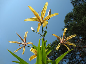 Similar image 1140626