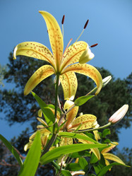 Similar image 1140627