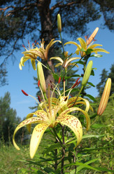 Similar image 1140629