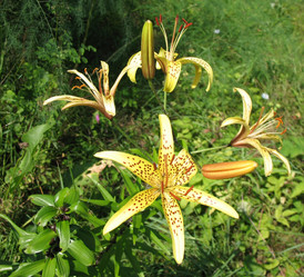 Similar image 1140630