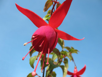 Similar image 1140631