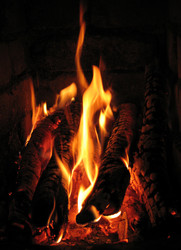 Similar image 1140634