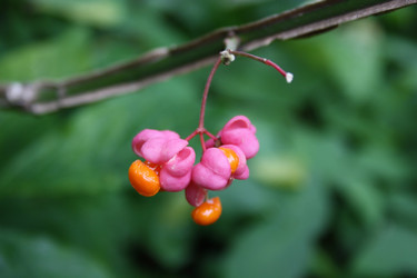 Similar image 1140638