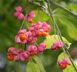 Similar image 1140639