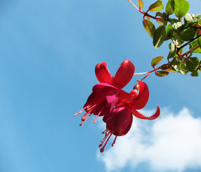 Similar image 1140640