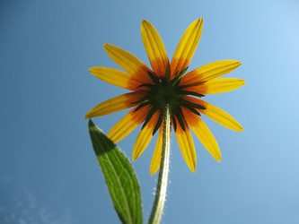 Similar image 1140643