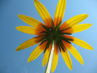 Similar image 1140644