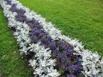 Similar image 1140646