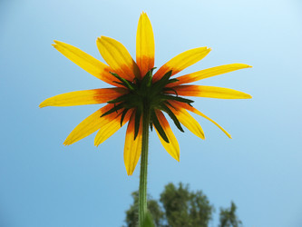 Similar image 1140649